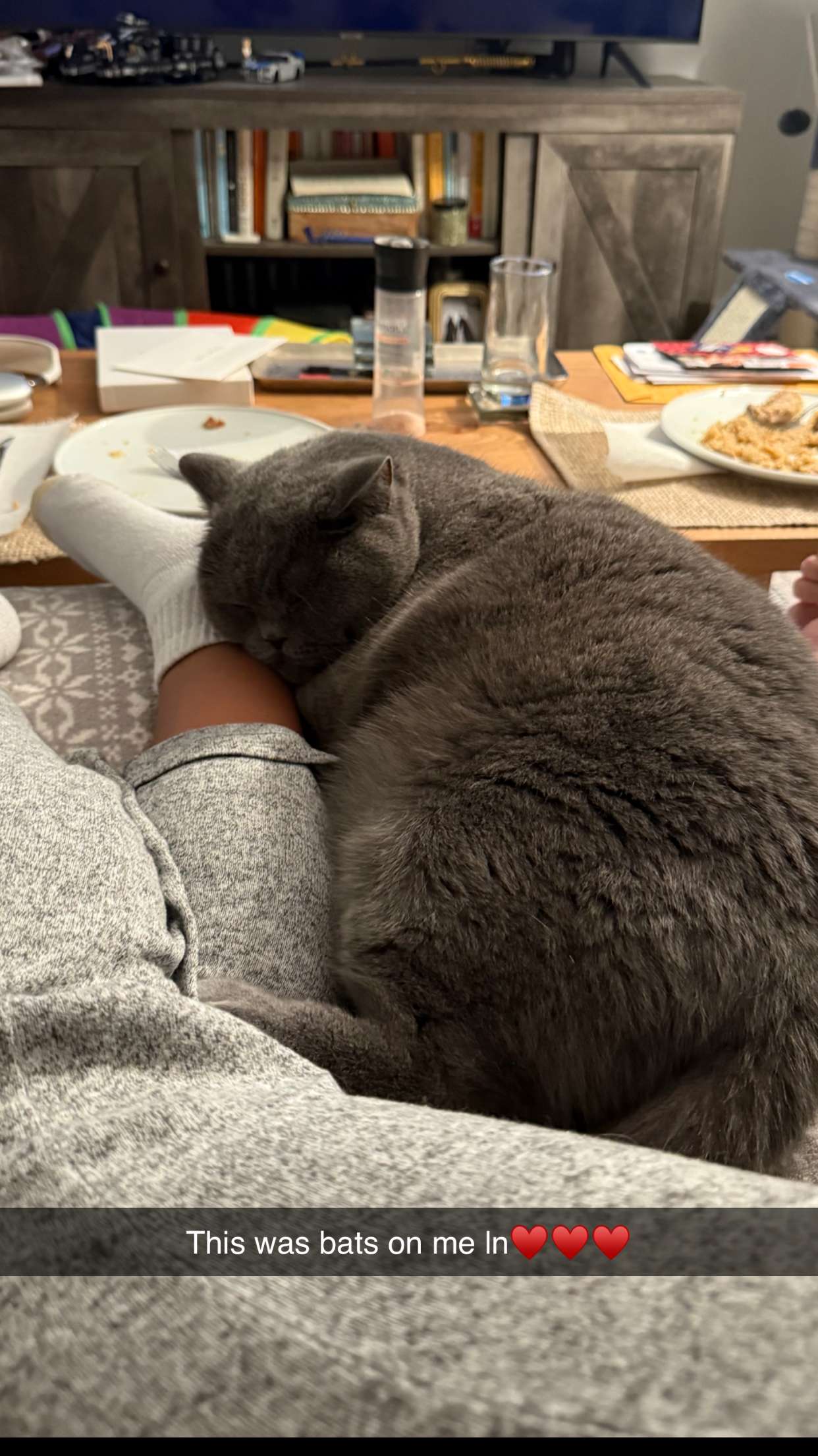 emelye.ender snapchat image archive image