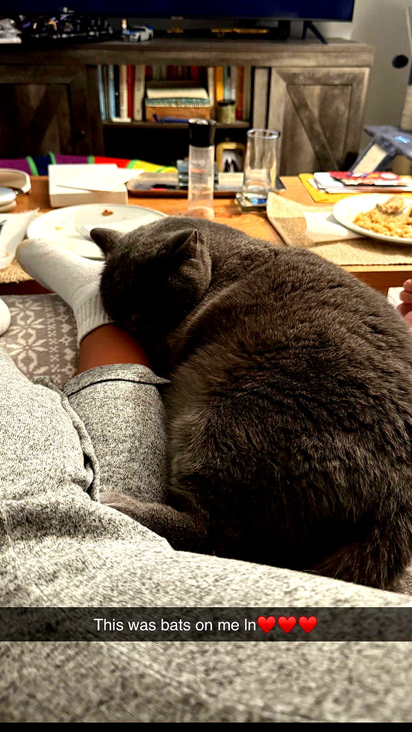 emelye.ender image ~ Altpins