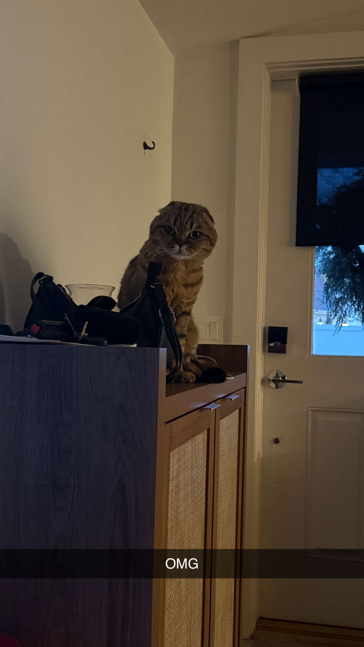 emelye.ender snapchat image archive image