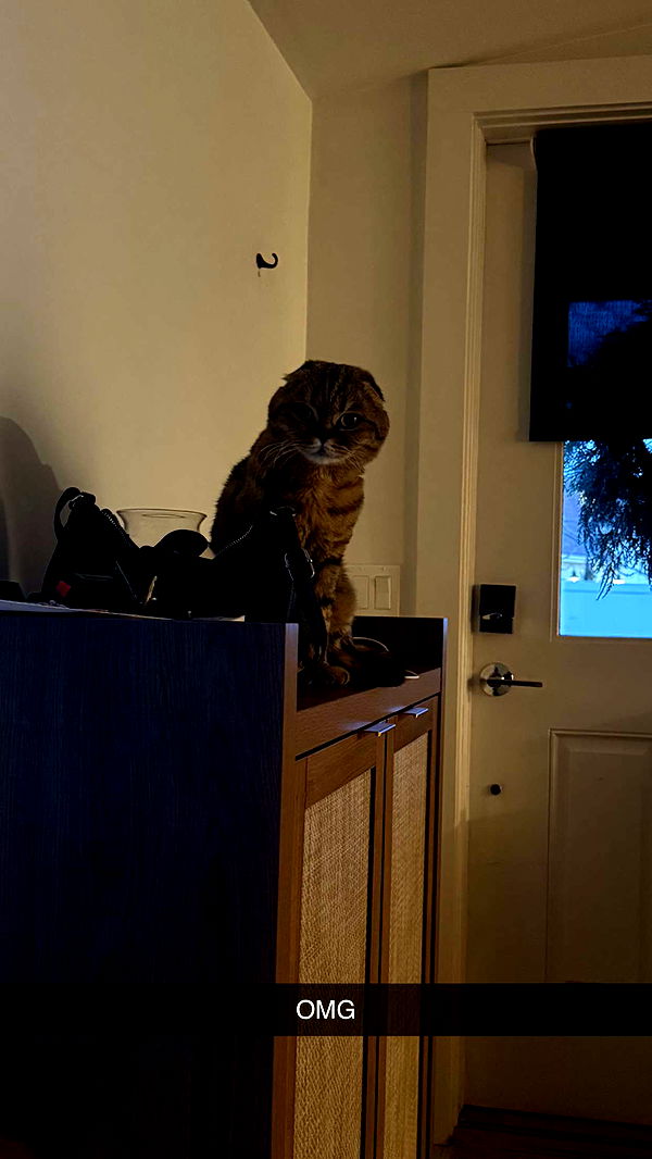 emelye.ender image ~ Altpins