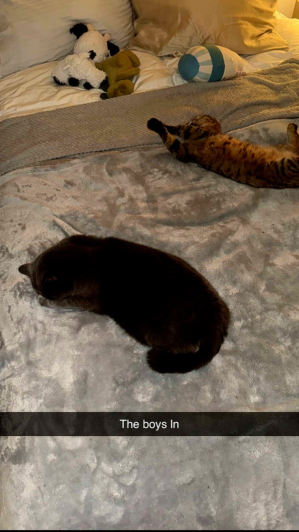 emelye.ender snapchat image archive image