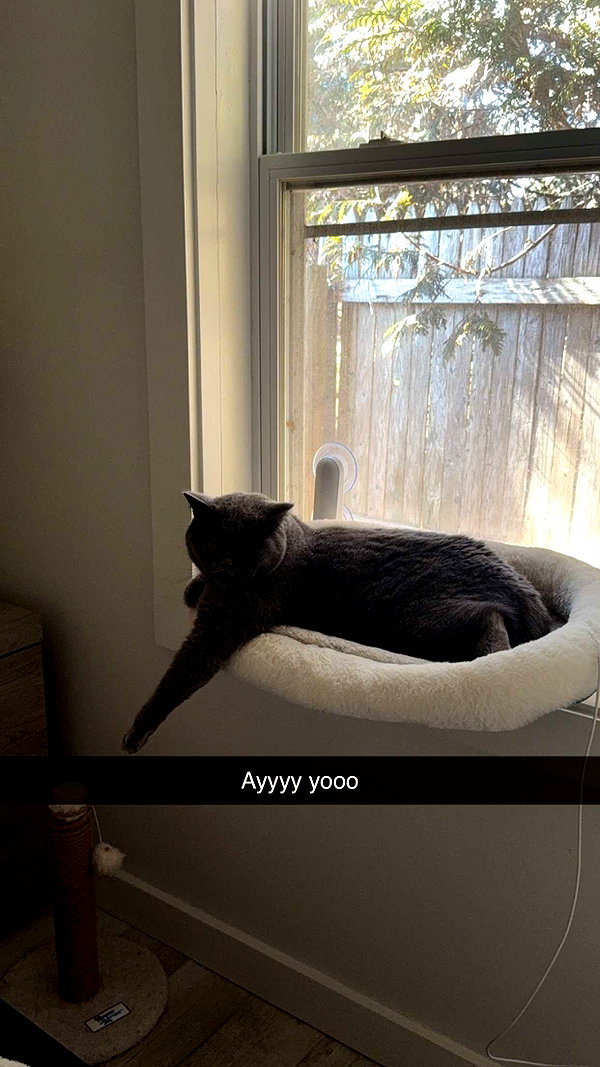 emelye.ender snapchat image archive image