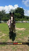 emelye.ender Altpins Profile Picture