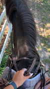 emelye.ender Altpins Profile Picture