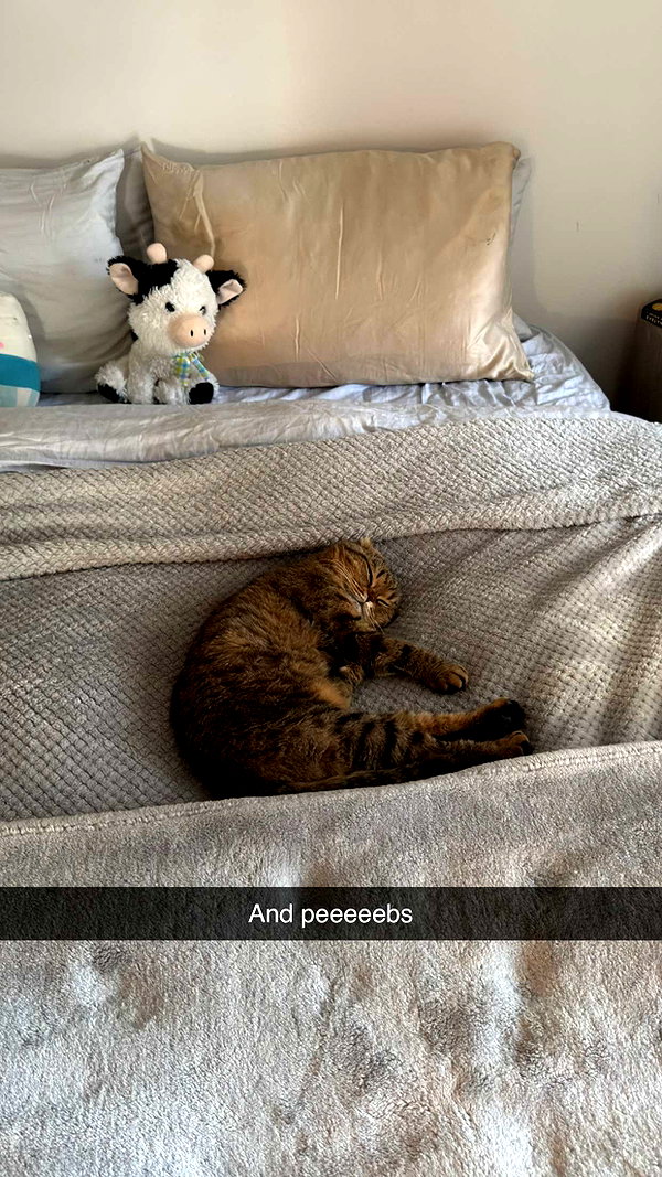 emelye.ender snapchat image archive image