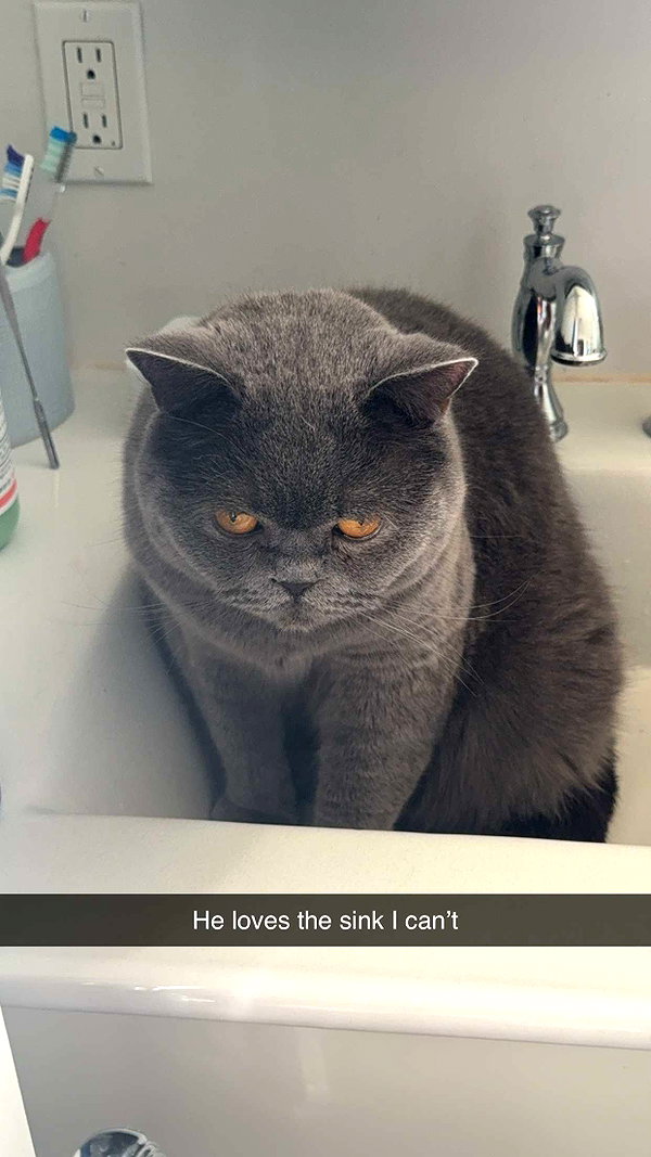 emelye.ender snapchat image archive image