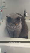 emelye.ender Altpins Profile Picture