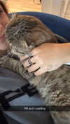 emelye.ender Altpins Profile Picture
