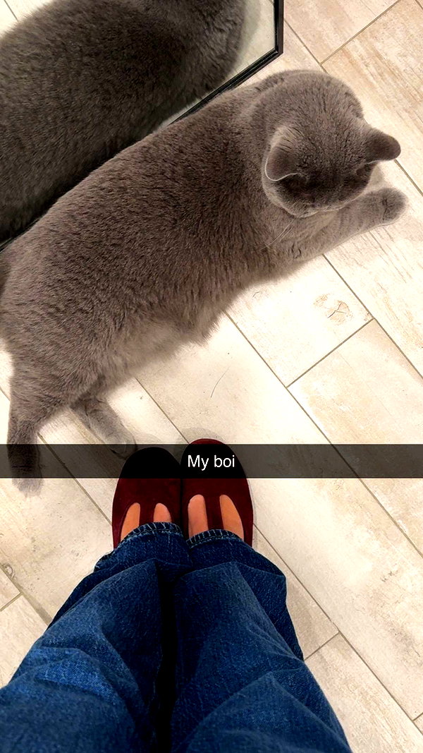 emelye.ender snapchat image archive image