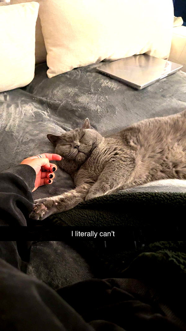 emelye.ender snapchat image archive image