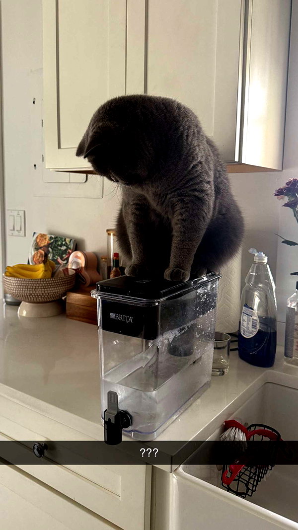 emelye.ender snapchat image archive image