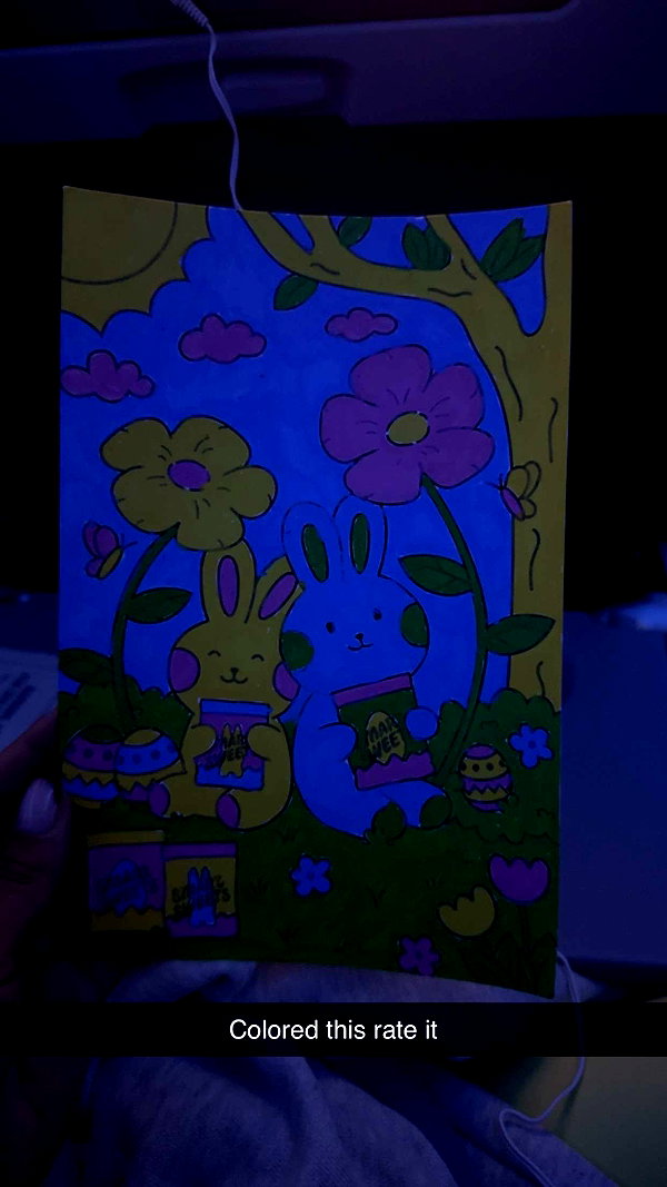 emelye.ender snapchat image archive image