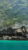 emelye.ender Altpins Profile Picture