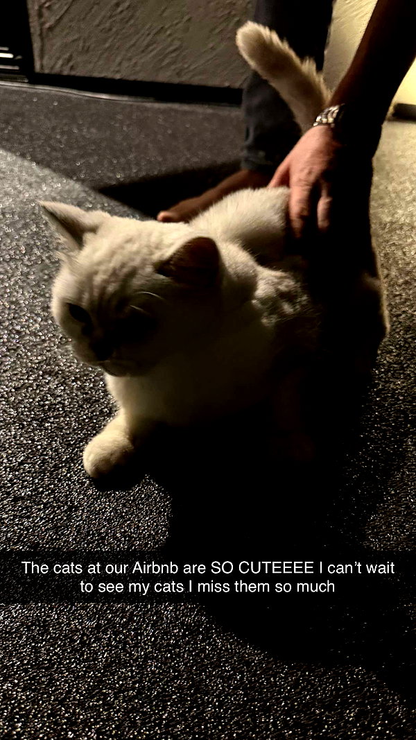 emelye.ender snapchat image archive image