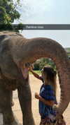 emelye.ender Altpins Profile Picture