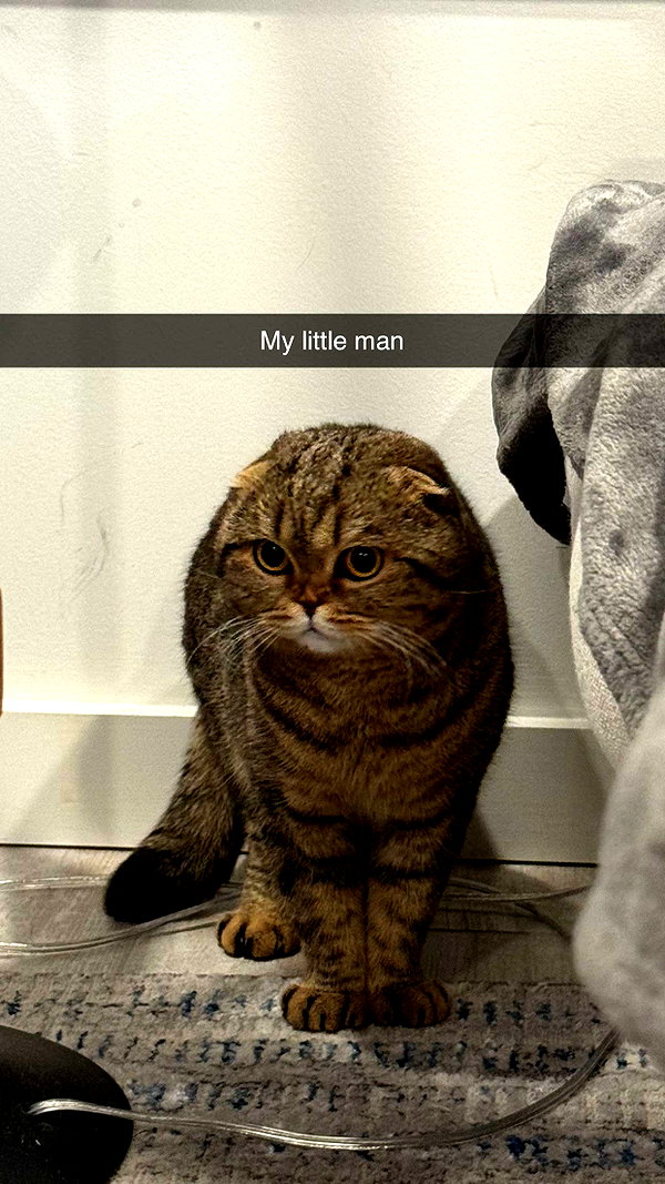 emelye.ender snapchat image archive image