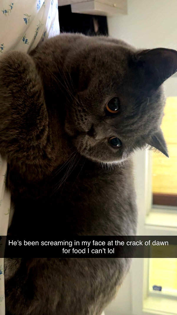 emelye.ender snapchat image archive image