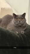 emelye.ender Altpins Profile Picture