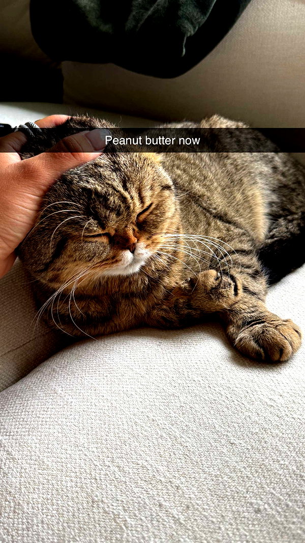 emelye.ender snapchat image archive image