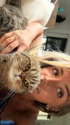 emelye.ender Altpins Profile Picture