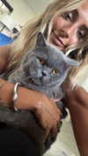 emelye.ender Altpins Profile Picture