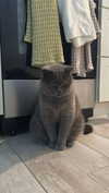 emelye.ender Altpins Profile Picture
