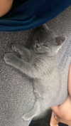 emelye.ender Altpins Profile Picture