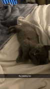 emelye.ender Altpins Profile Picture