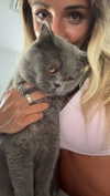 emelye.ender Altpins Profile Picture