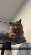 emelye.ender Altpins Profile Picture