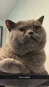 emelye.ender Altpins Profile Picture