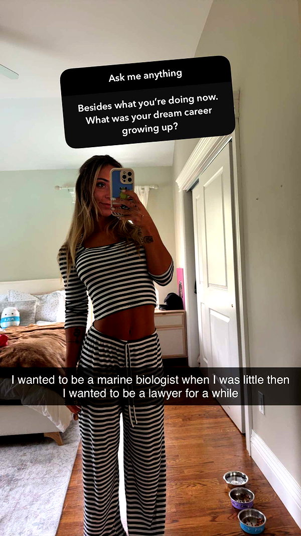 emelye.ender snapchat image archive image