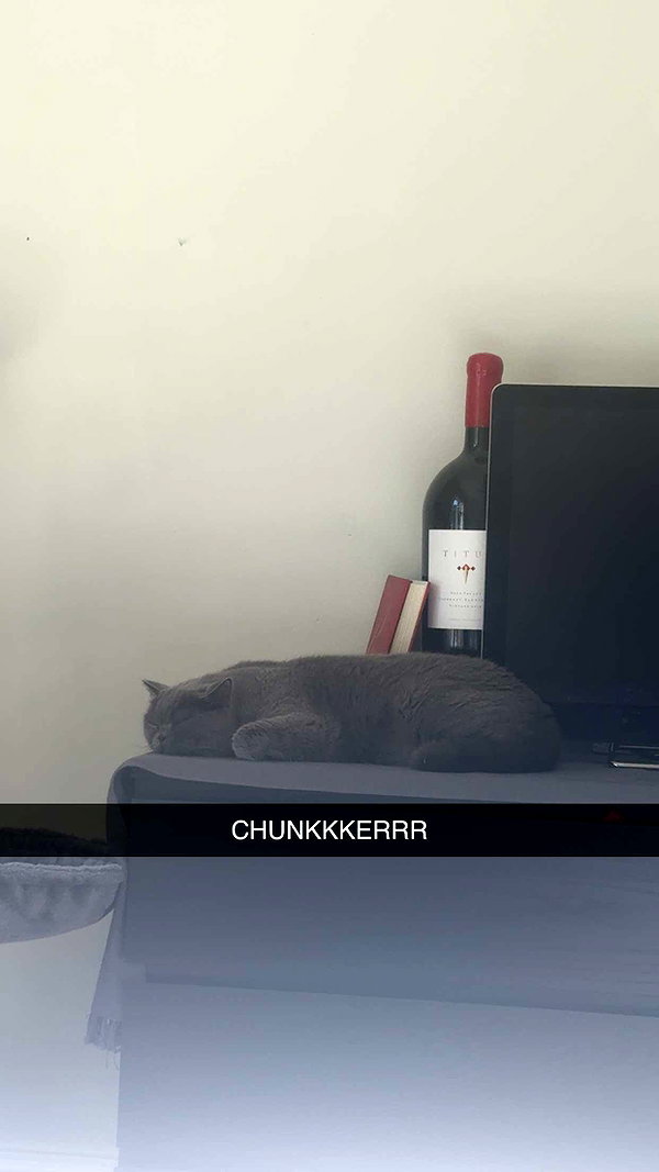 emelye.ender snapchat image archive image