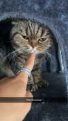 emelye.ender Altpins Profile Picture
