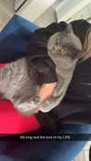 emelye.ender Altpins Profile Picture