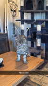 emelye.ender Altpins Profile Picture