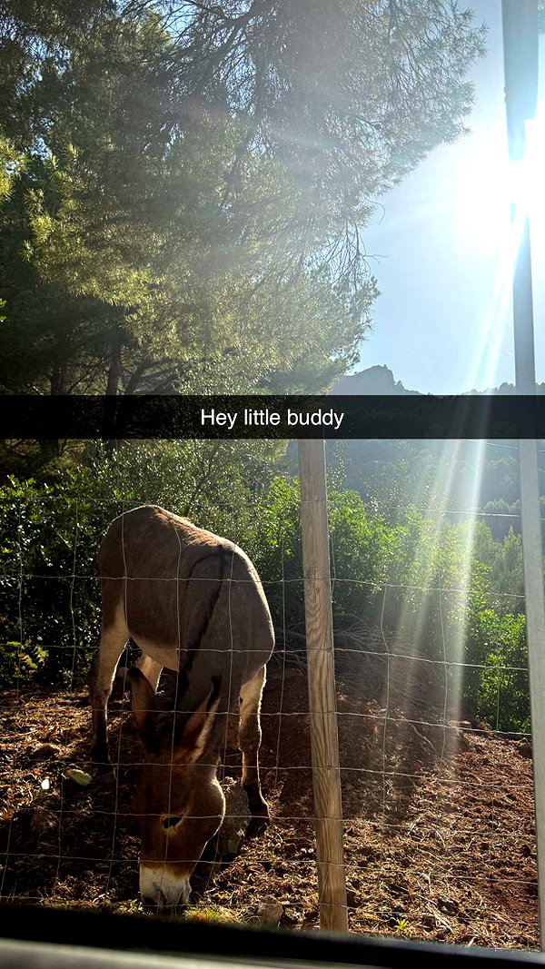 emelye.ender snapchat image archive image