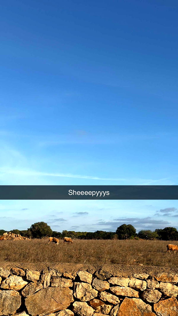 emelye.ender snapchat image archive image