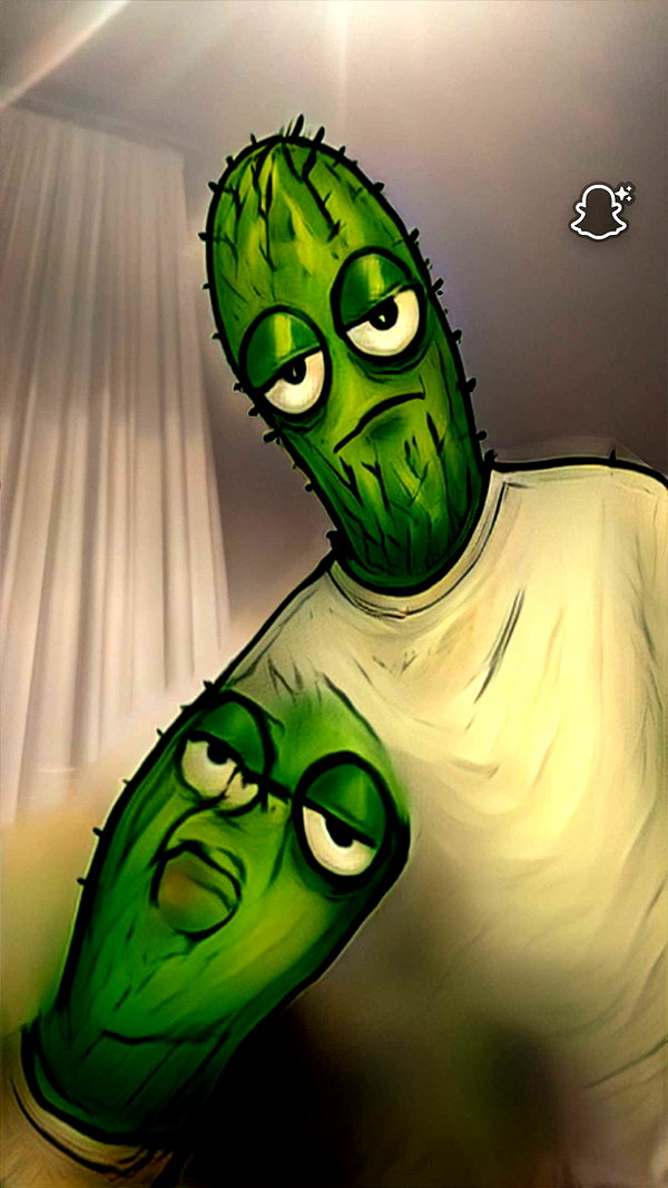 emelye.ender snapchat image archive image