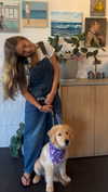 emelye.ender Altpins Profile Picture