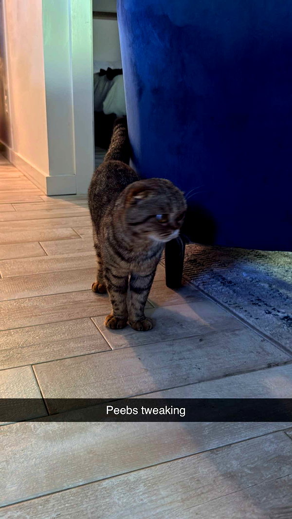emelye.ender snapchat image archive image