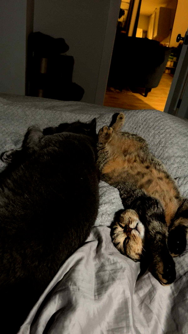 emelye.ender snapchat image archive image