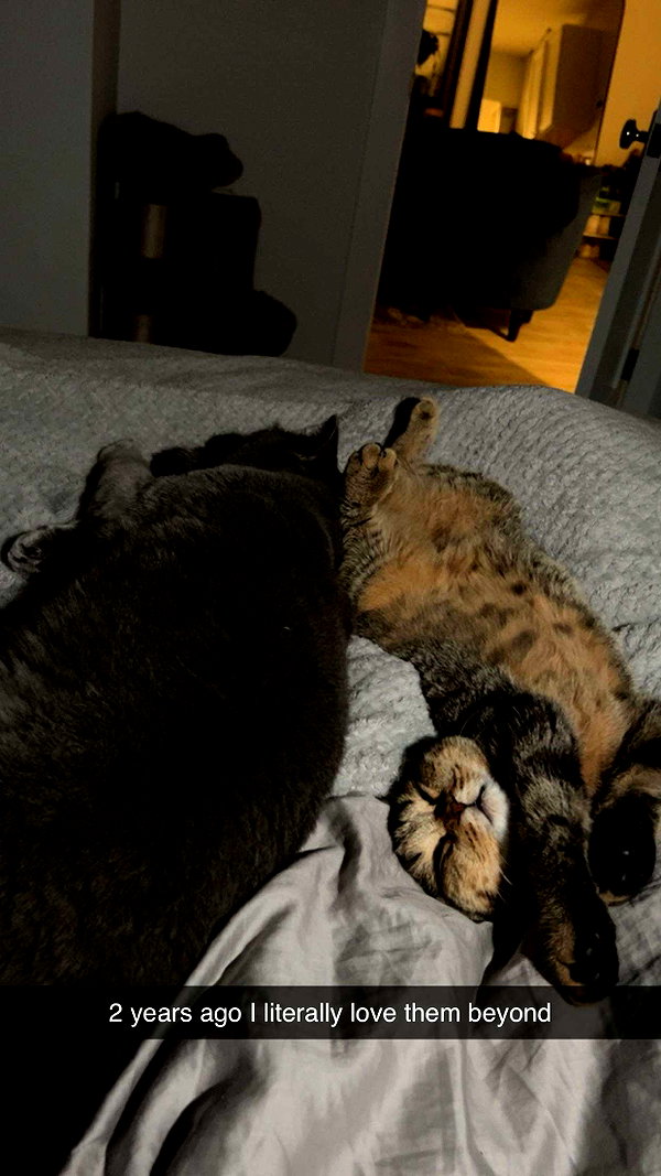 emelye.ender snapchat image archive image