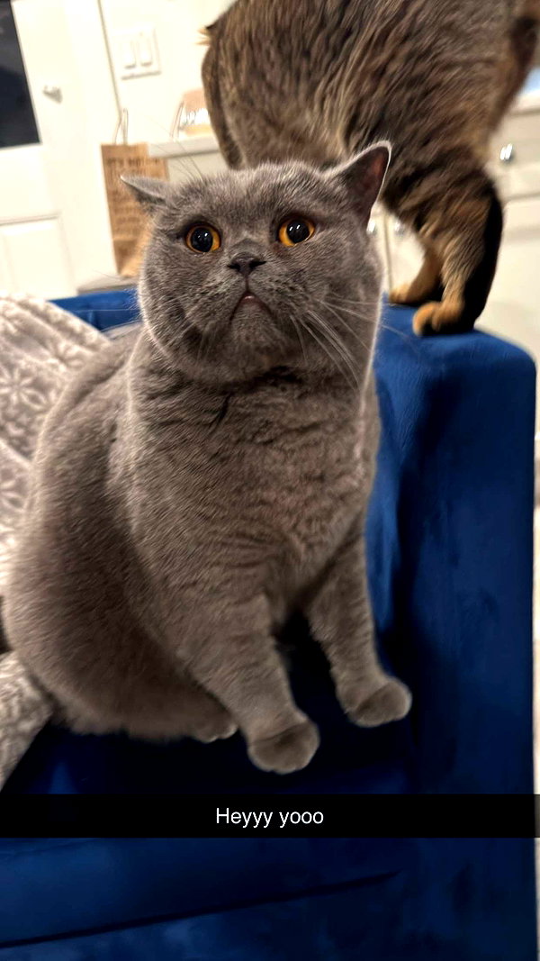 emelye.ender snapchat image archive image
