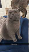 emelye.ender Altpins Profile Picture
