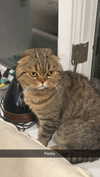 emelye.ender Altpins Profile Picture