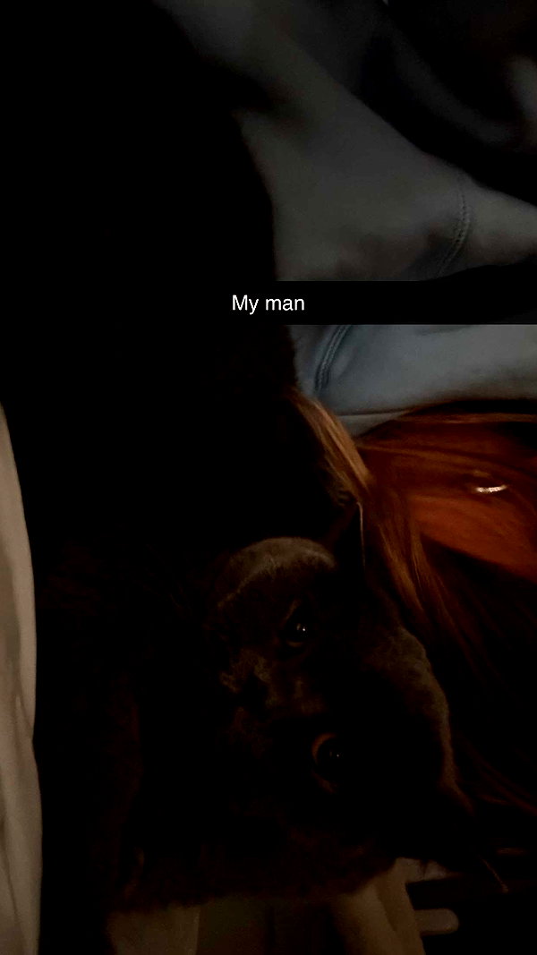 emelye.ender snapchat image archive image