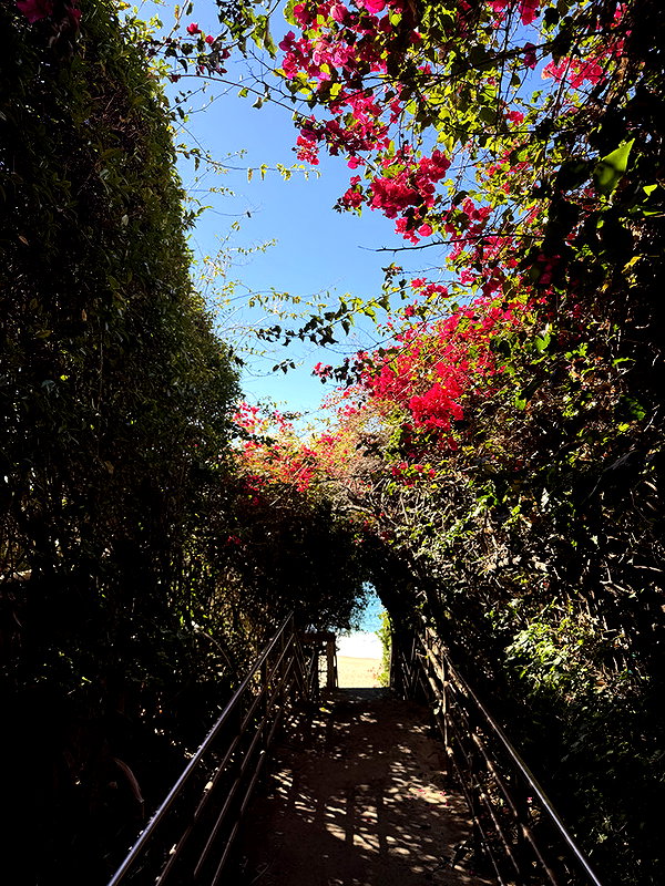 emelye.ender snapchat image archive image