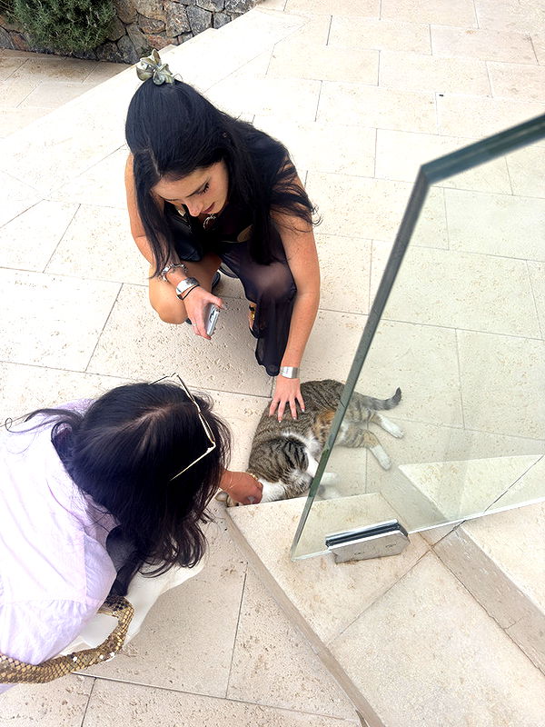 emelye.ender image ~ Altpins