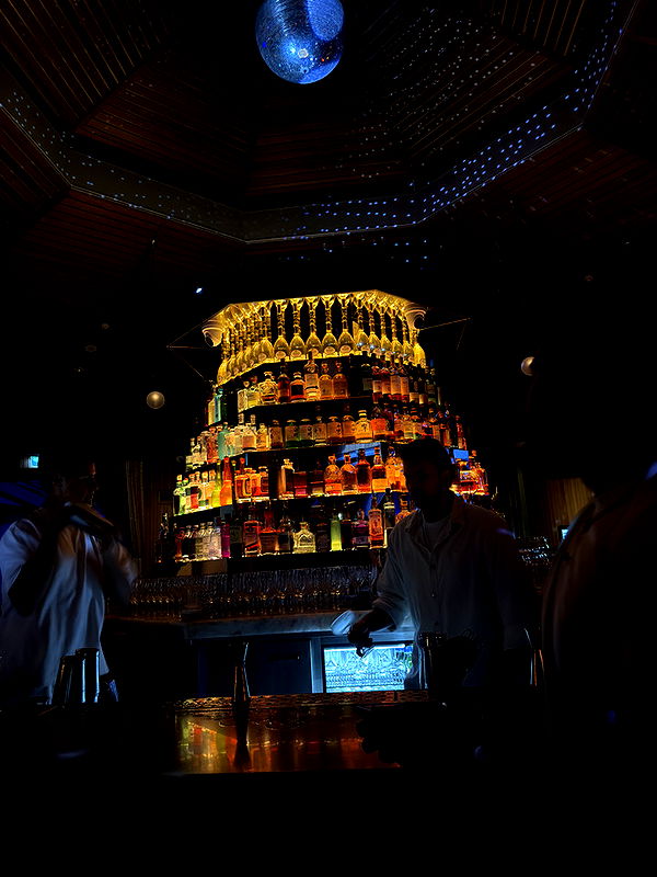 emelye.ender image ~ Altpins